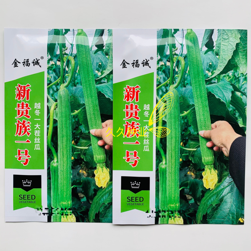 新贵族一号长棒丝瓜种子越冬一大茬丝瓜种子肉厚质硬心腔小