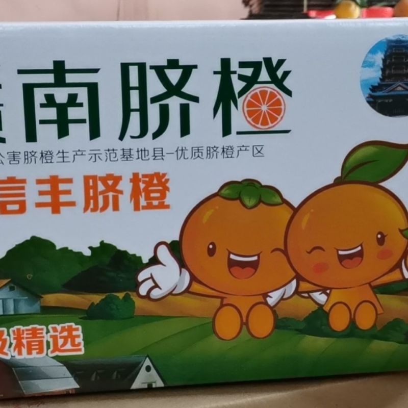 江西赣南信丰脐橙正宗场地发货果园现摘现发11月15号发货