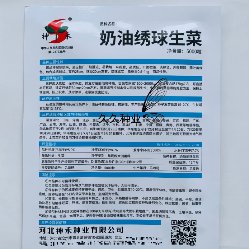 奶油绣球生菜种子甜脆奶油生菜种子耐寒蕊叶黄绿色香甜生菜种