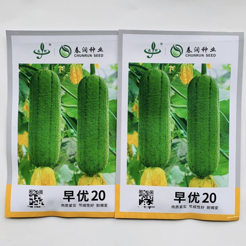 春润早优20肉丝瓜种子短棒形清香丝瓜种籽味甜清脆硬度好