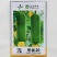 春润早优20肉丝瓜种子短棒形清香丝瓜种籽味甜清脆硬度好