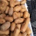 贵州修文猕猴桃大量接车每天可供应10万斤
