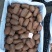 贵州修文猕猴桃大量接车每天可供应10万斤
