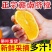 江西赣南信丰脐橙正宗场地发货果园现摘现发11月15号发货