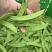 荷兰豆