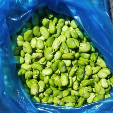 蚕豆瓣
