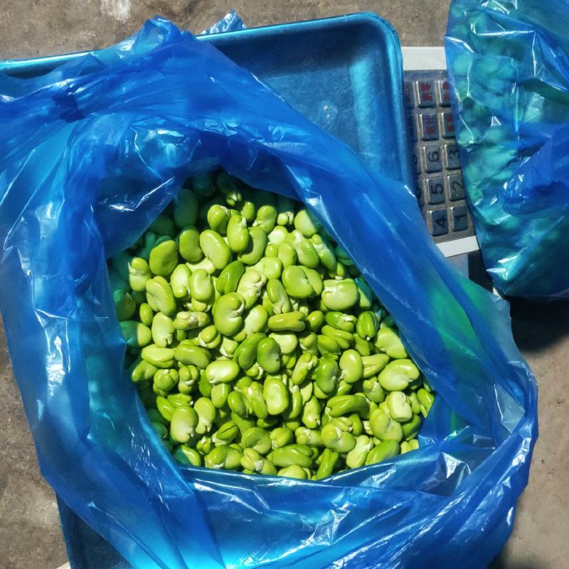 蚕豆瓣