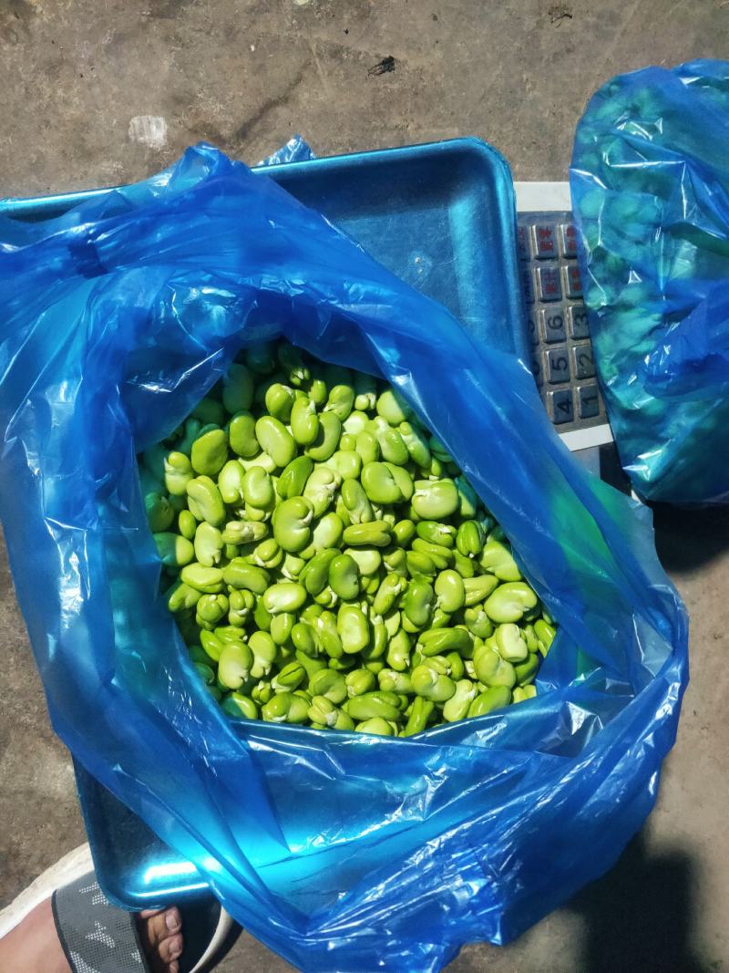 蚕豆瓣