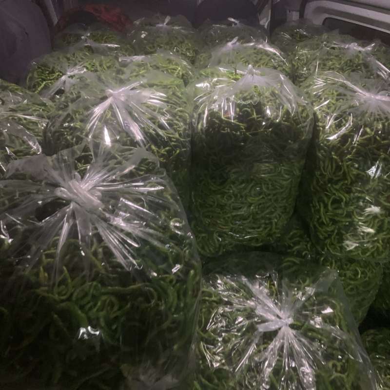 鱼秋辣椒