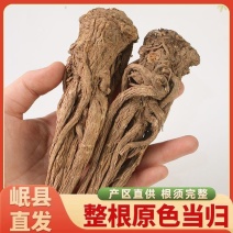 【岷县直发】拾农者当归个子甘肃岷县产地直发
