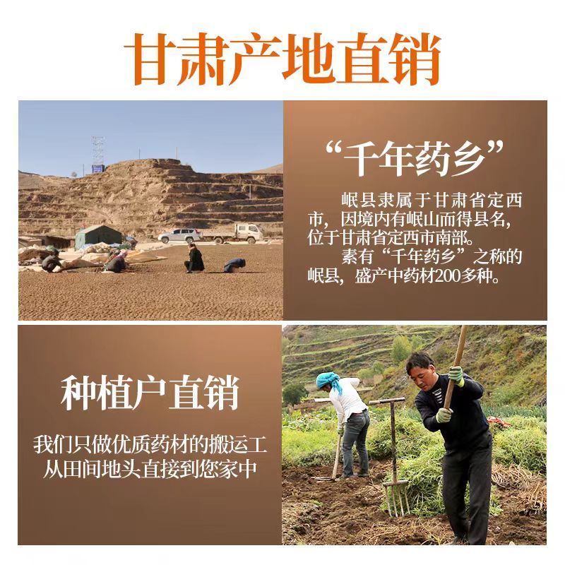【岷县直发】拾农者当归个子甘肃岷县产地直发