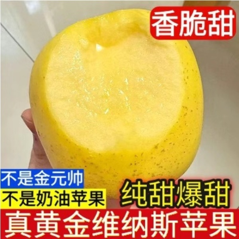 维纳斯电商高次果