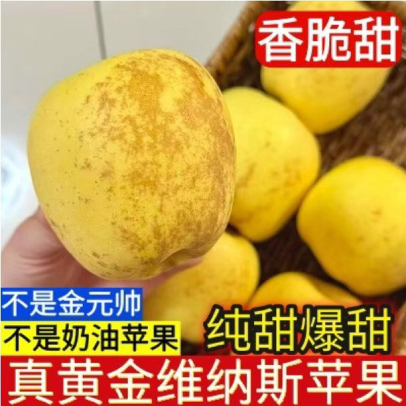 维纳斯电商高次果