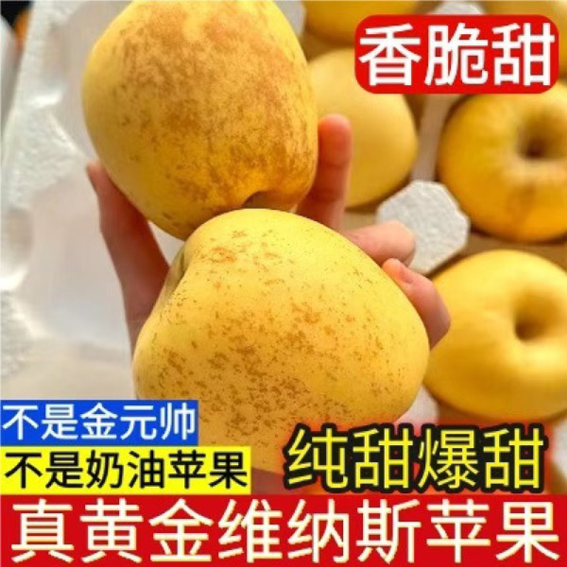 维纳斯电商高次果