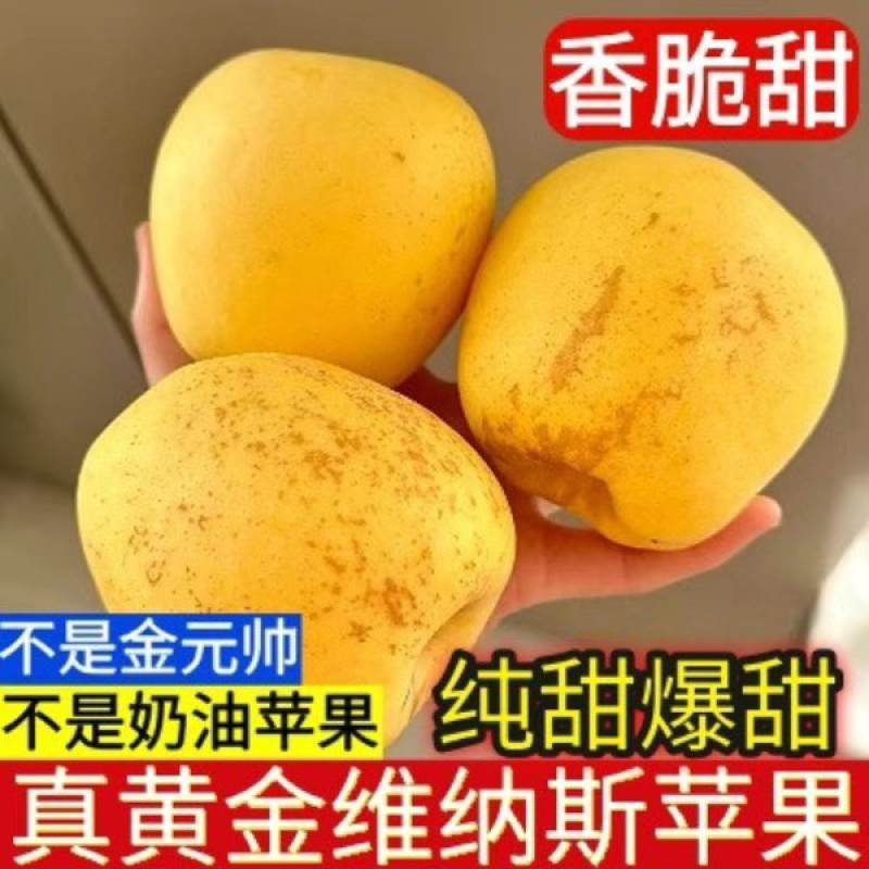 维纳斯电商高次果
