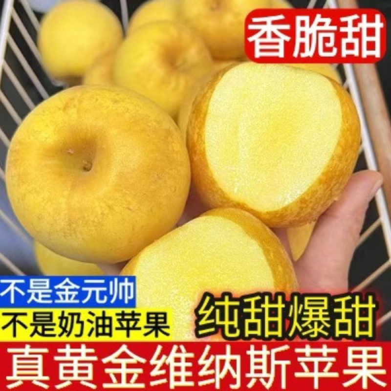 维纳斯电商高次果