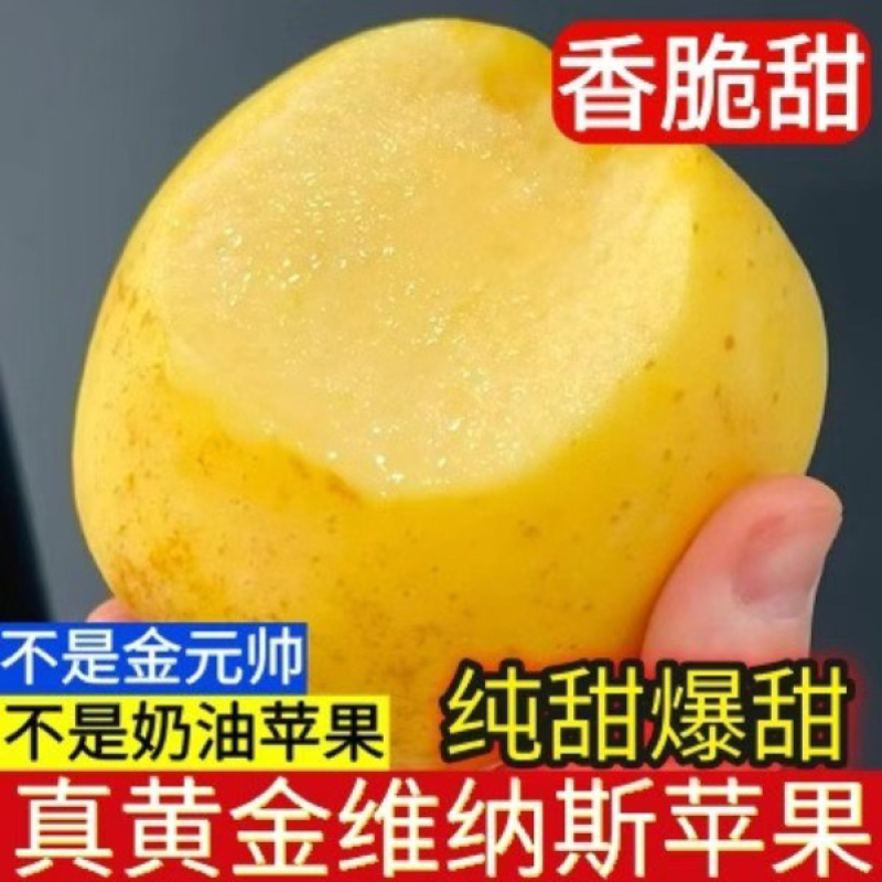 维纳斯电商高次果