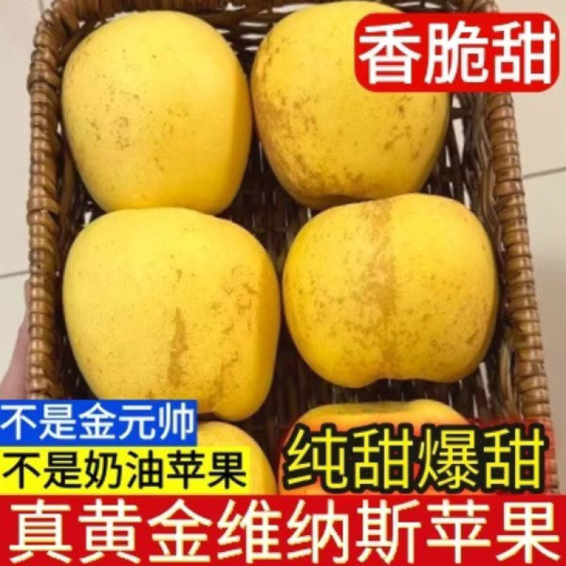 维纳斯电商高次果