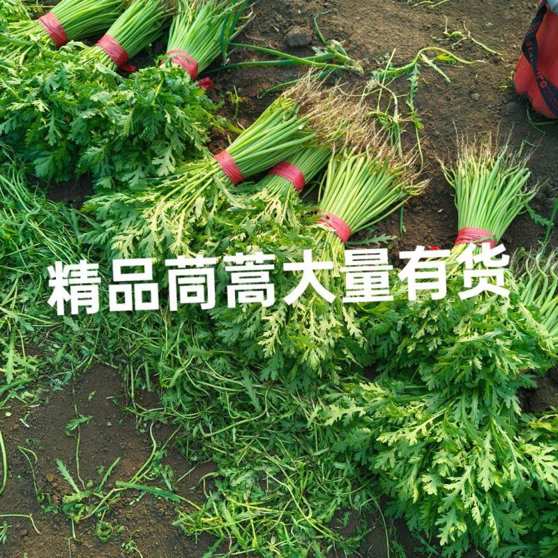 东北产地茼蒿大量上市质量好价格实惠欢迎采购了
