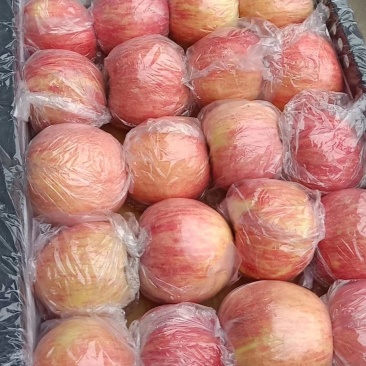 万荣纸+膜红富士