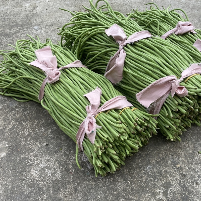 新鲜长豆角秋豆角