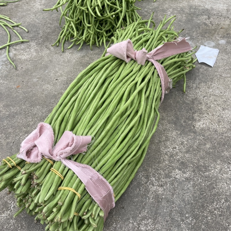 新鲜长豆角秋豆角