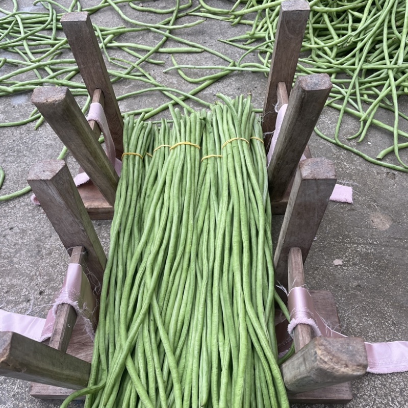 新鲜长豆角秋豆角