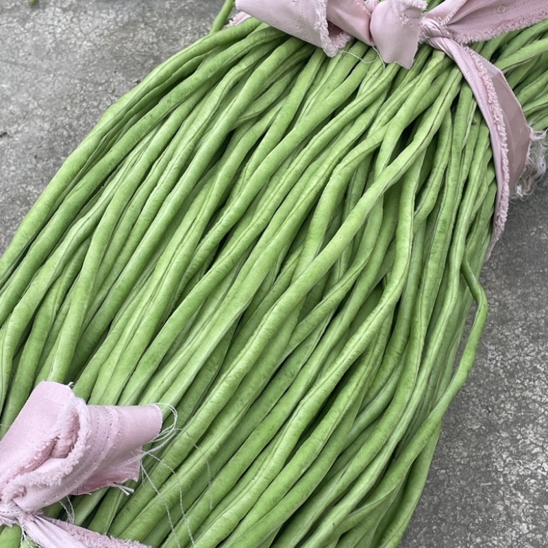 新鲜长豆角秋豆角