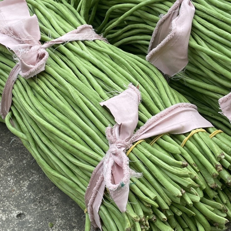 新鲜长豆角秋豆角