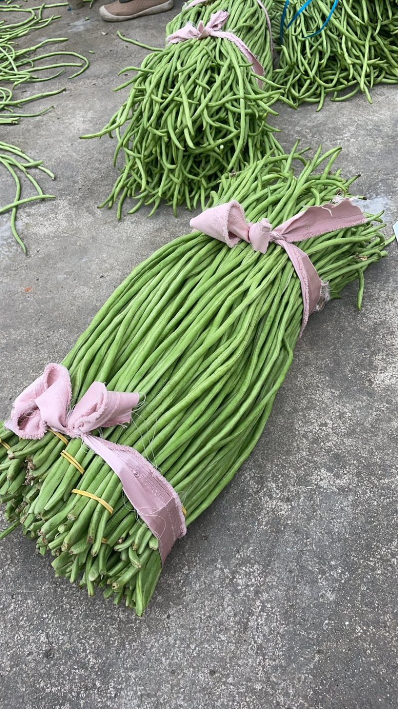 新鲜长豆角秋豆角