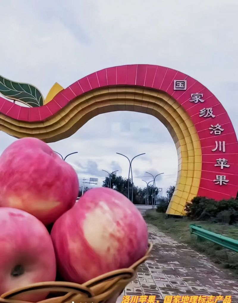 洛川红富士