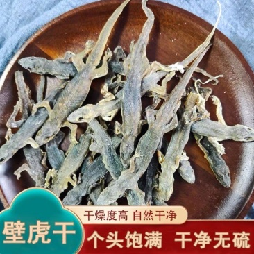 壁虎干中药材天龙守宫药材晒干中药饮片守宫壁虎