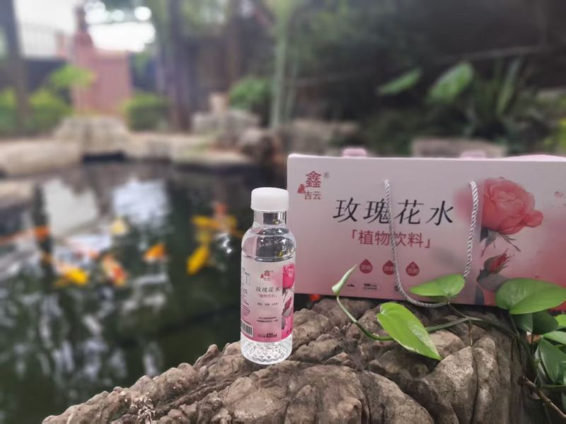 云南本地特产植物饮料