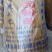 木薯粉条