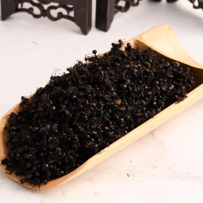 黑蚂蚁中药材冷背黑蚂蚁干正品无硫不掺假干净无杂