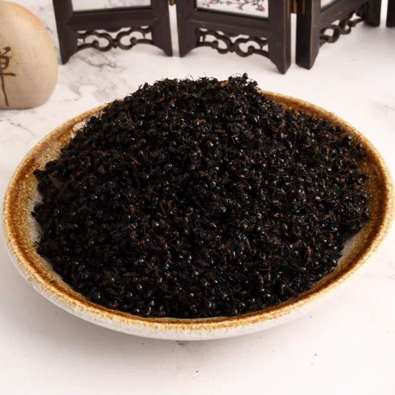 黑蚂蚁中药材冷背黑蚂蚁干正品无硫不掺假干净无杂