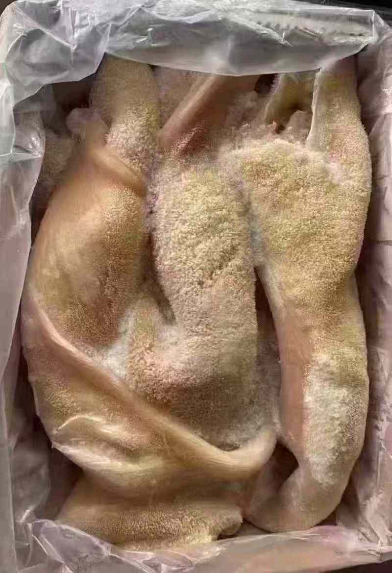 熟牛肚，水退去毛，九成熟的，纯干货。出成率高