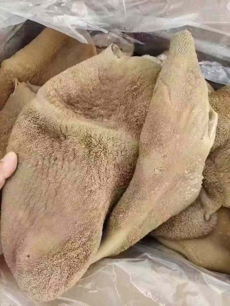熟牛肚，水退去毛，九成熟的，纯干货。出成率高