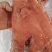 24小时在线选购全国供应营养丰富猪头肉