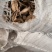 姜干干净无沙土机器过筛统片烘干片萃取姜沫