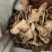 姜干干净无沙土机器过筛统片烘干片萃取姜沫