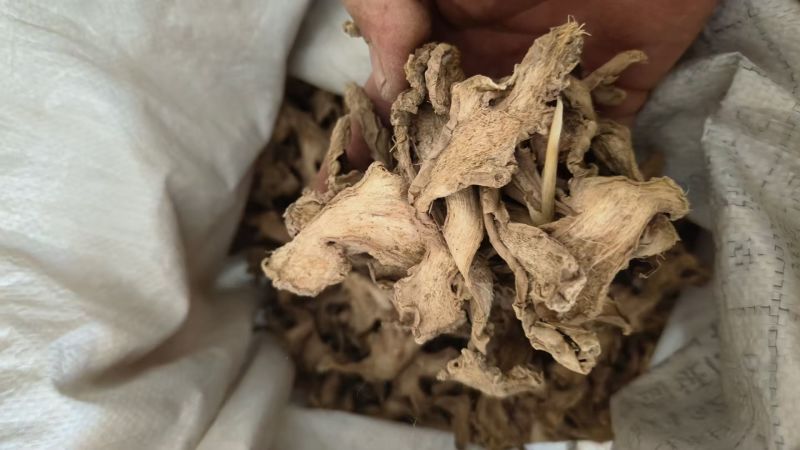 姜干干净无沙土机器过筛统片烘干片萃取姜沫