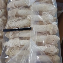 贵州织金红托竹荪15厘米以上，鲜香美味，健康营养，品质保证！