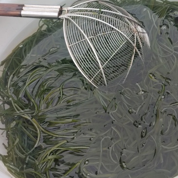 水发海带丝
