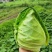 牛心甘蓝牛心菜尖包牛心甘蓝卷心包菜顶尖包菜