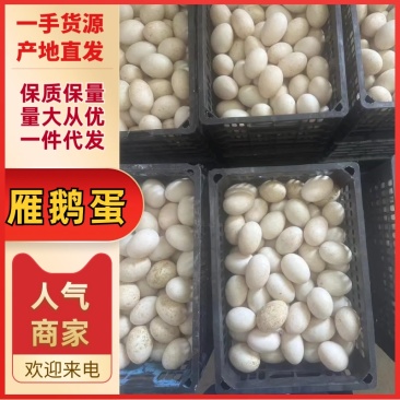 鹅蛋，盒装鹅蛋，大桶蛋，桶蛋，，桶装鹅蛋，雁鹅蛋
