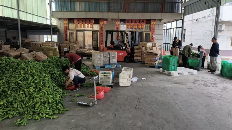 精品青椒泡椒，一手货源，品质保证，可对接电商商超，诚信经营