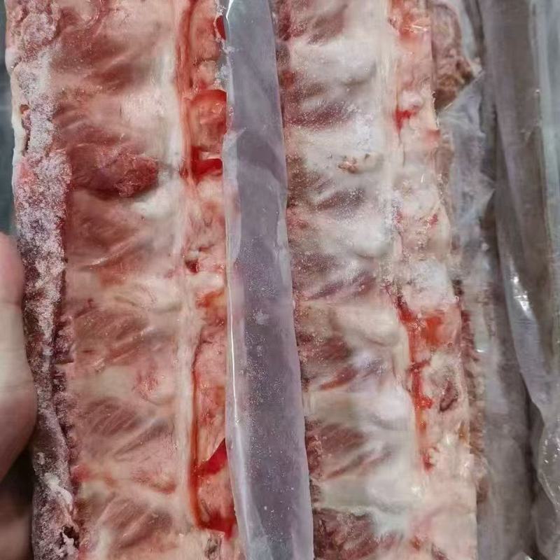 母猪龙骨