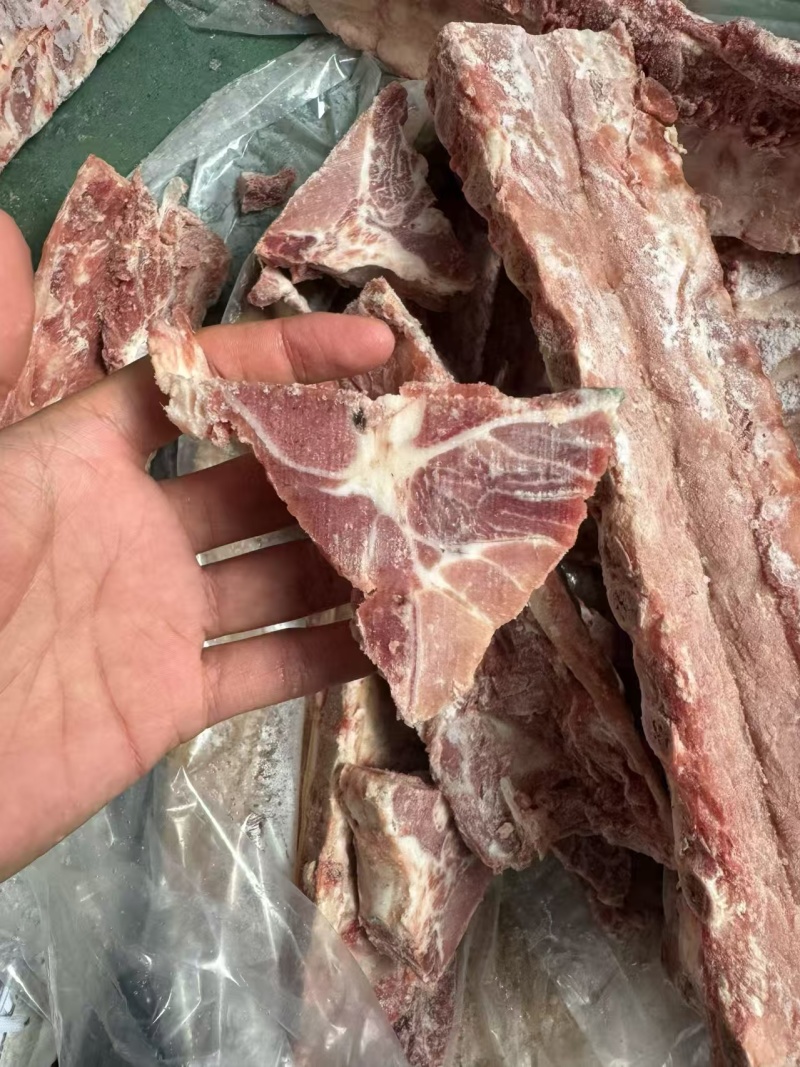 母猪龙骨