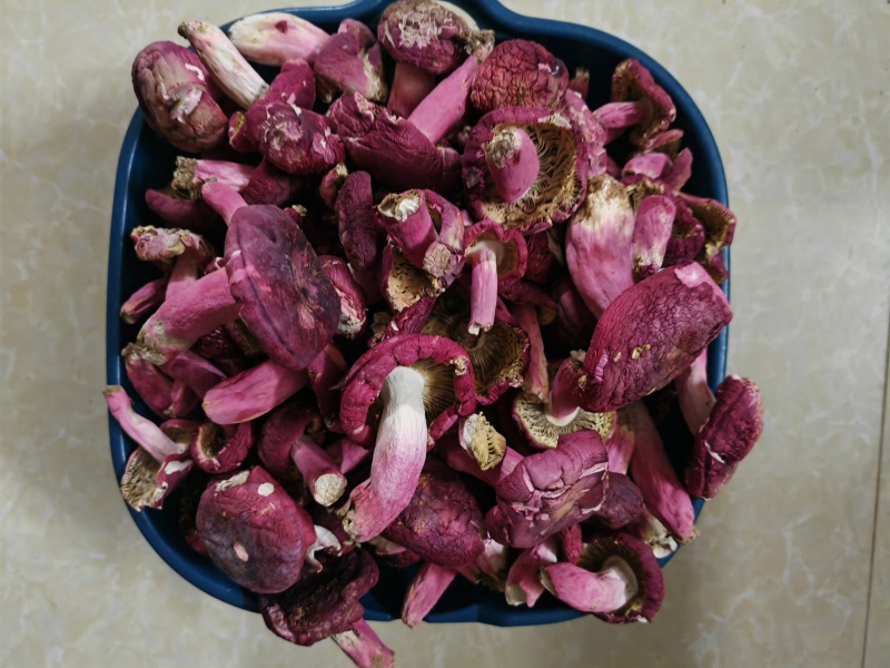 红菇干